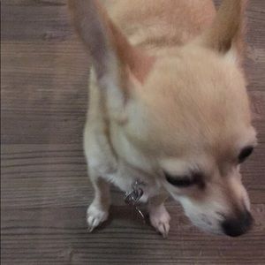 Meet your Posher, Marina